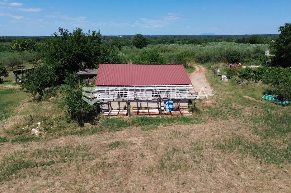 istra, vodnjan, gospodarska zgrada s pomoćnim objektom na prostranom zemljištu - slika 9