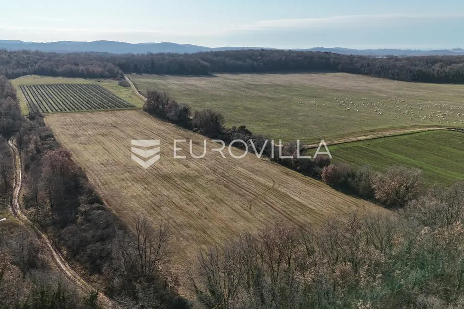 istra, poreč, poljoprivredno zemljište 14.824 m² - slika 2