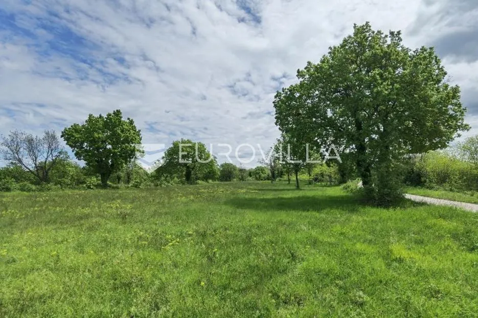višnjan, građevinsko zemljište za investiciju, 12000 m2 - slika 2
