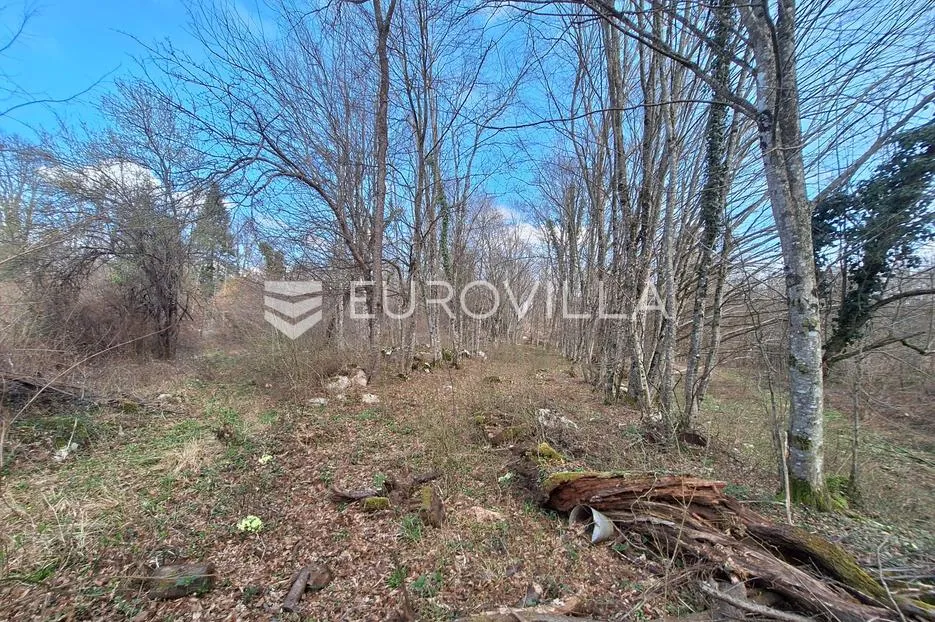 bosiljevo, zemljište 103000 m² s 2 objekta na mirnoj lokaciji - slika 10
