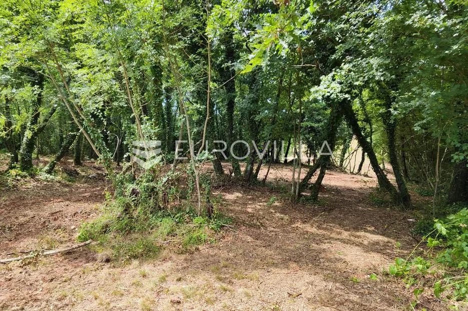 barban, rojnići, prekrasno pravokutno građevinsko zemljište 910 m² - slika 11