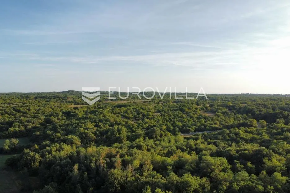istra, vodnjan, kombinacija građevinskog i poljoprivrednog zemljišta sa šumom, rijetkost na tržištu - slika 3