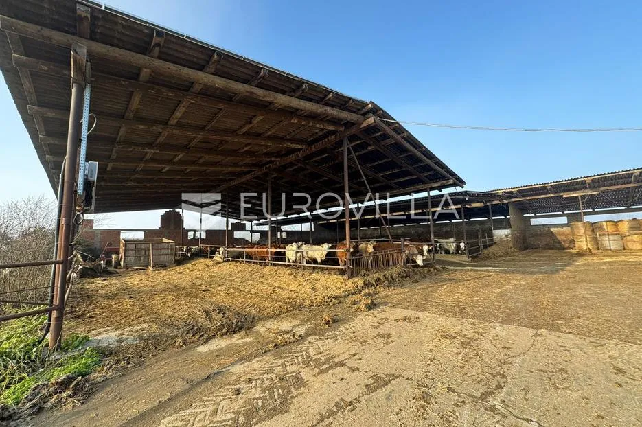 selci đakovački, govedarska farma s mogućnošću prenamijene, 11370 m² - slika 5