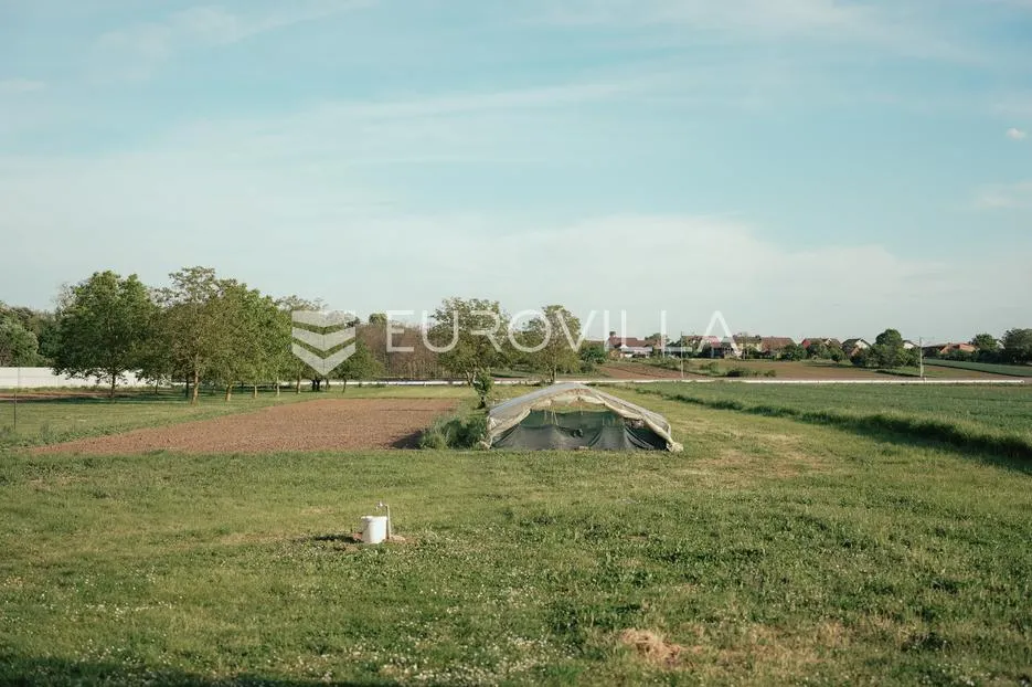 nuštar, prostrana obiteljska kuća 280 m², na zemljištu od 5684 m² - slika 9