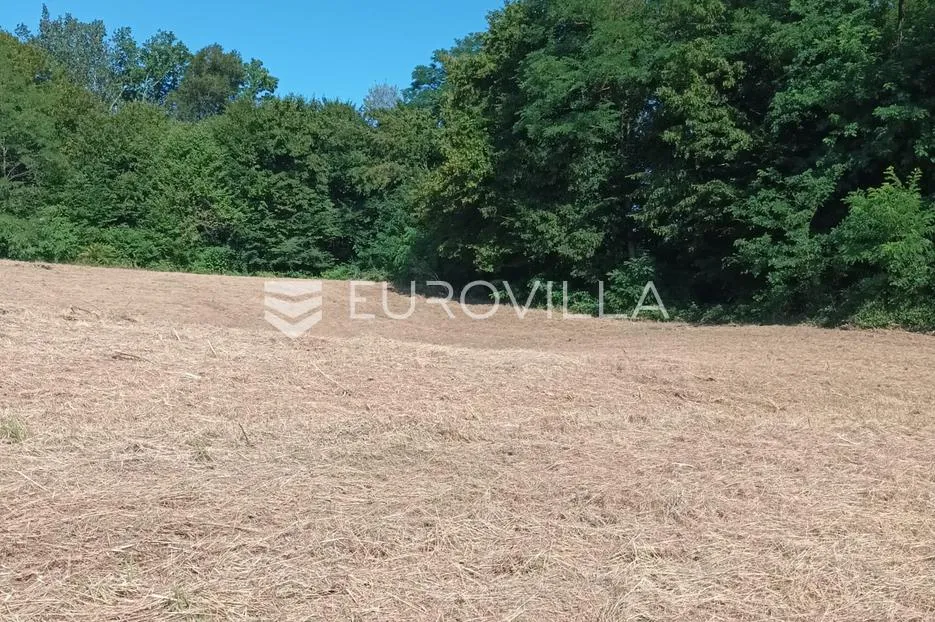 duga resa, pećurkovo brdo, građevinsko zemljište 4400 m², mirna lokacija - slika 3