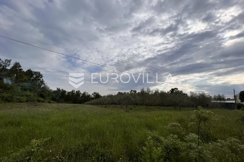 istra, juricani, građevinsko zemljište 860m2, okolica umaga - slika 7