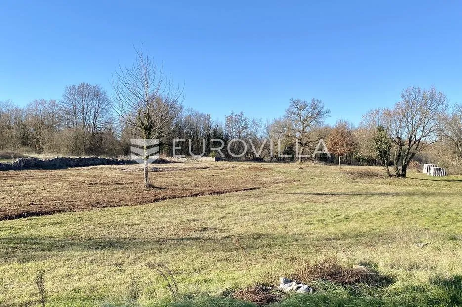 Istra, Svetvinčenat - građevinsko zemljište 550 m2 s pristupnim putem - mirna lokacija - Bokordići, Svetvinčenat