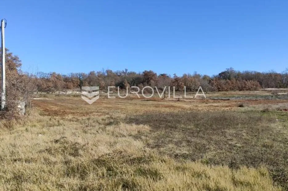 istra, svetvinčenat - kombinirano zemljište 1592 m2 s dozvolom - pristup s asfaltirane ceste - slika 2