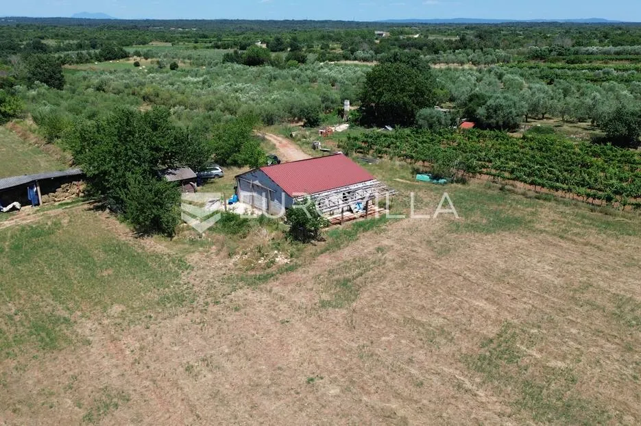istra, vodnjan, gospodarska zgrada s pomoćnim objektom na prostranom zemljištu - slika 13
