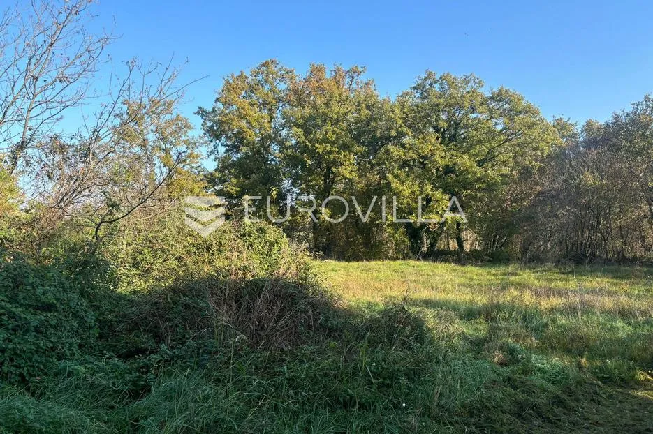 istra, poreč, kuća s dva stana, okućnicom i građevinskim terenom od 1687 m², prilika - slika 14