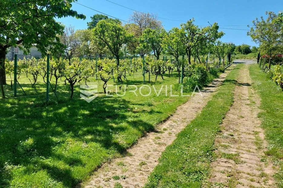 mandićevac, vikendica 66 m² s vinogradom, izvrsna investicija - slika 18