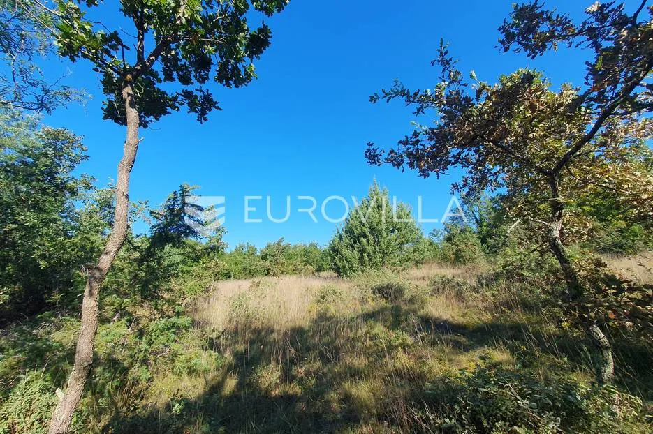 istra, baderna, poljoprivredno zemljište 12.120m2 - slika 10