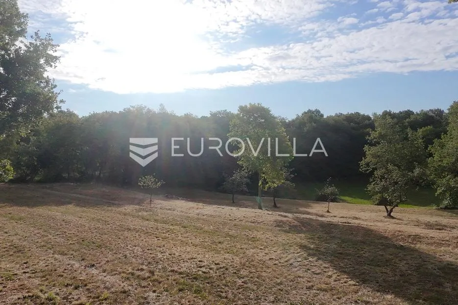 istra, tinjan, građevinsko zemljište nkp 3623 m2 - slika 2