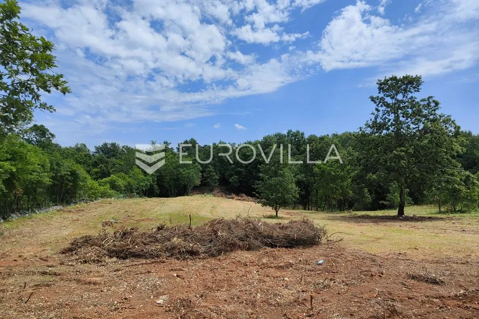 barban, rojnići, prekrasno pravokutno građevinsko zemljište 910 m² - slika 15