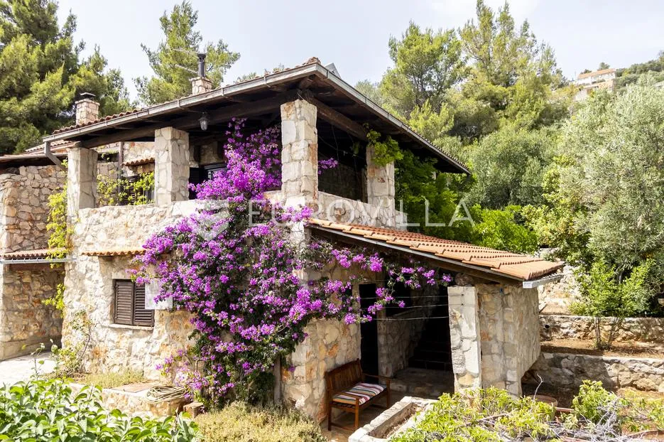 Otok Hvar - lijepa kamena kuća na mirnoj lokaciji - Zavala, Jelsa