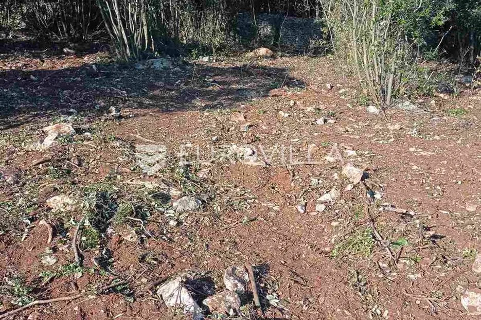 marčana, kavran, poljoprivredno zemljište 1600 m2 - slika 6