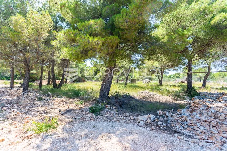 brač, milna građevinsko zemljište s pogledom na more - slika 2