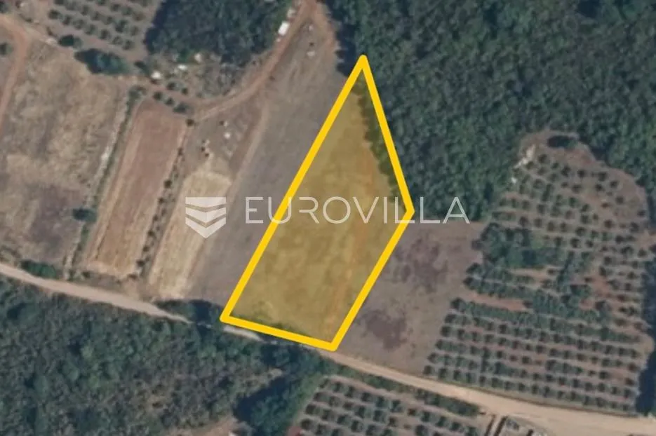 Istra, Muntić poljoprivredno zemljište u blizini centra - Muntić, Ližnjan