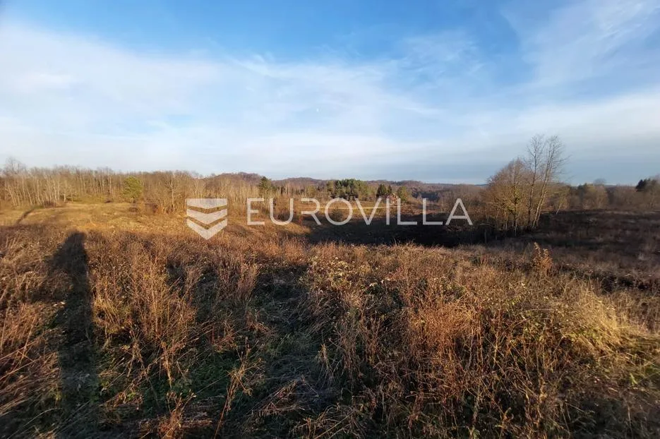 slunj, cvijanović brdo, zemljište 378428 m² s 2 objekta, višenamjensko - slika 11