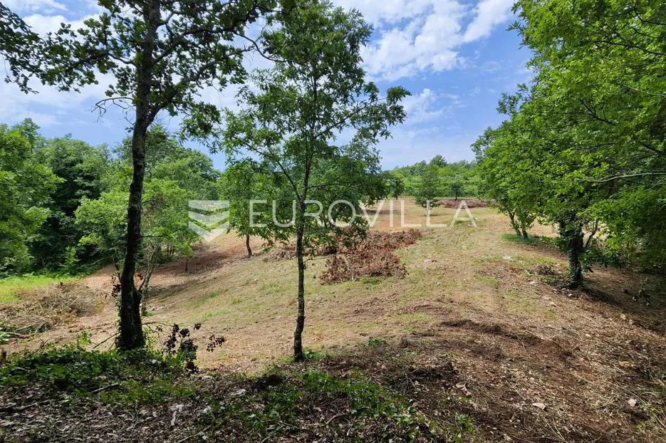 barban, rojnići, prekrasno pravokutno građevinsko zemljište 910 m² - slika 8