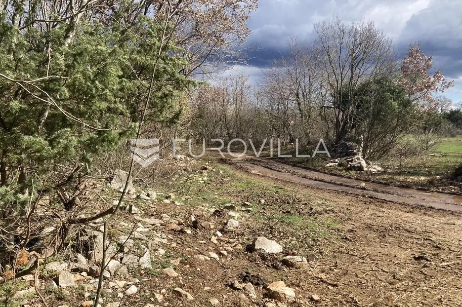 istra, bale, poljoprivredno zemljište 12200m2 s mogućnošću gradnje gospodarskog objekta - slika 7
