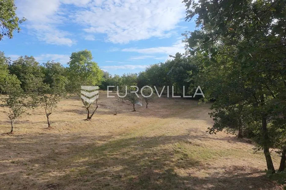 istra, tinjan, građevinsko zemljište nkp 3623 m2 - slika 7