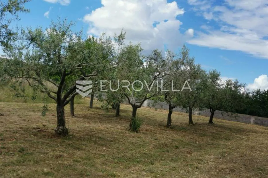 rovinj, poljoprivredno zemljište veličine 4798 m2 sa upisanim objektima - slika 5