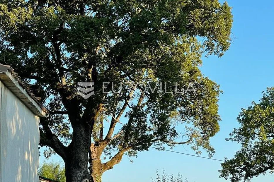 istra, motovun, građevinsko zemljište 2181m2 s idejnim projektom - slika 12