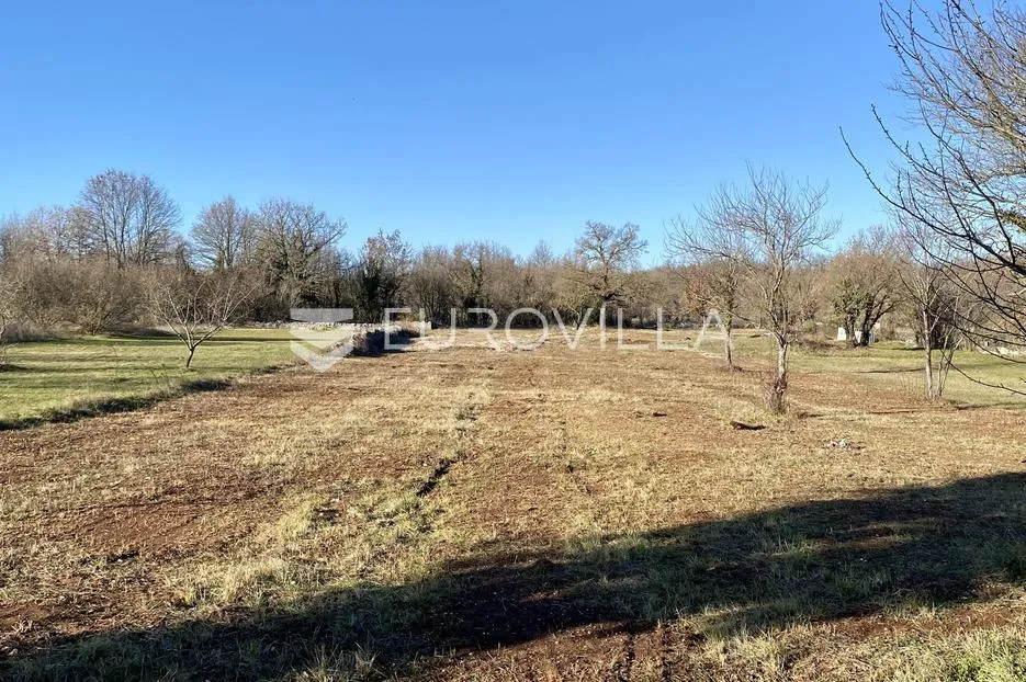 istra, svetvinčenat - građevinsko zemljište 550 m2 s pristupnim putem - mirna lokacija - slika 4