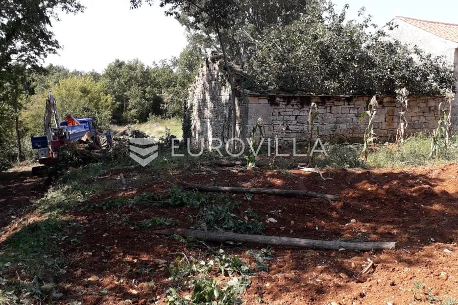 istra, sveti lovreč okolica, građevinsko 538m2 i poljoprivredno zemljište ukupne površine 48294m2 - slika 10