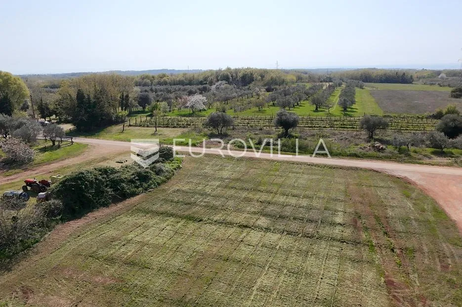 brtonigla, građevinsko zemljište s pogledom na more - slika 4