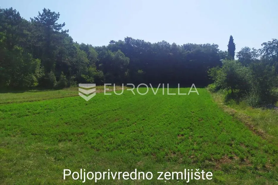 istra, tinjan – kombinirano građevinsko i poljoprivredno zemljište 4557m2 u srcu istre - slika 4