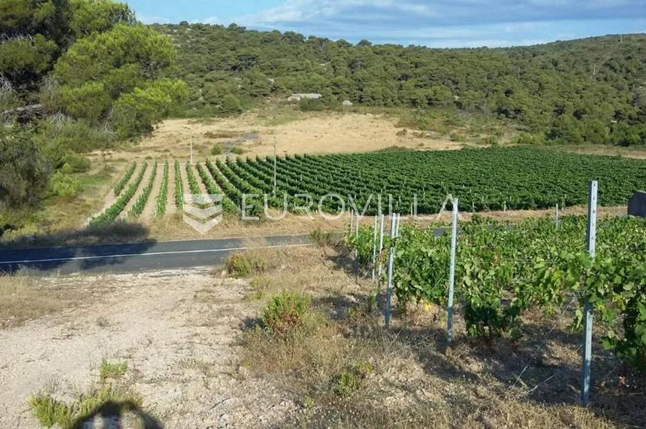 vis, kulor/smokova, atraktivno zemljište površine 23453 m2 sa pogledom na more - slika 8