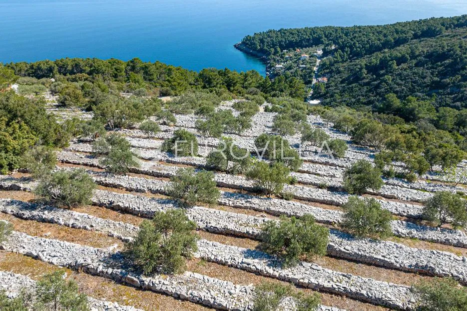 otok korčula, blato, poljoprivredno zemljište s dvije ruševne kamene kućice. - slika 13