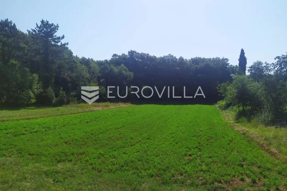 istra, tinjan, građevinsko i poljoprivredno zemljište 4557 m² - slika 5