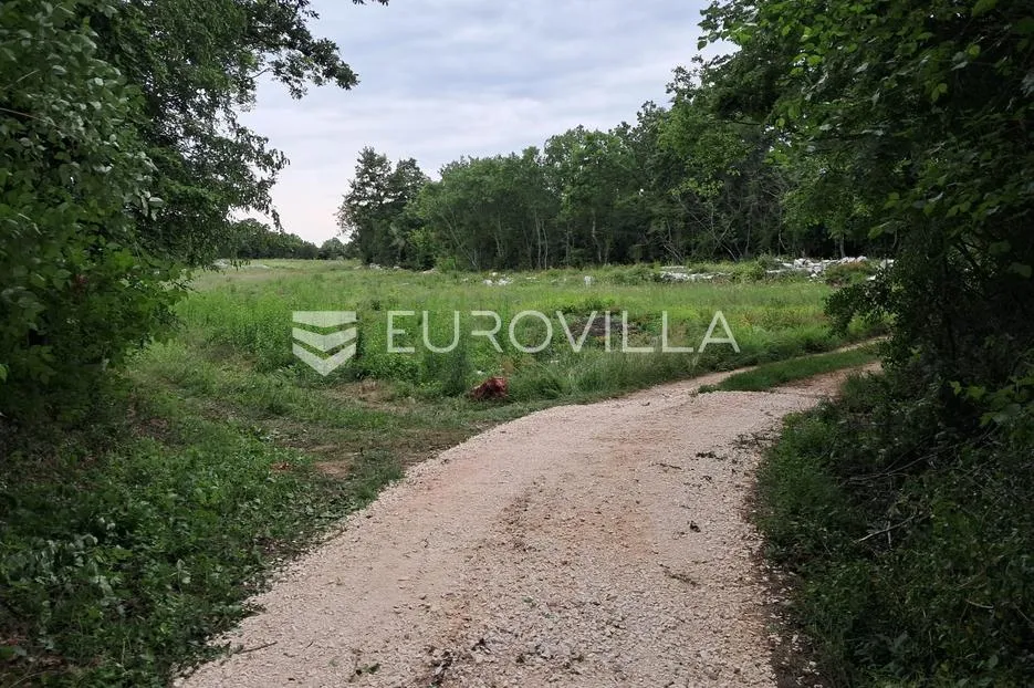 istra, rovinj okolica, poljoprivredno zemljšte 10038m2 na 200m metara od mora - slika 9