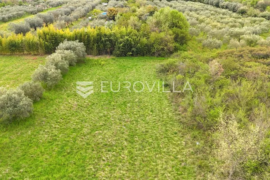 istra, umag, rijetka prilika građevinsko zemljište u zelenom okruženju nadomak mora - slika 4
