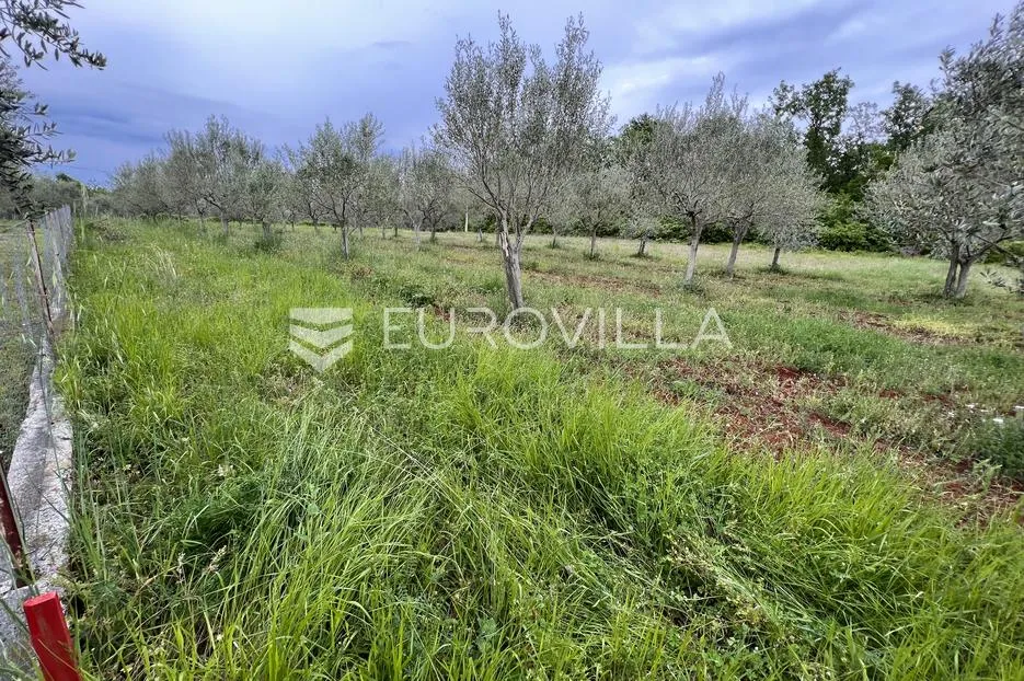 istra, juricani, građevinsko zemljište 860m2, okolica umaga - slika 4