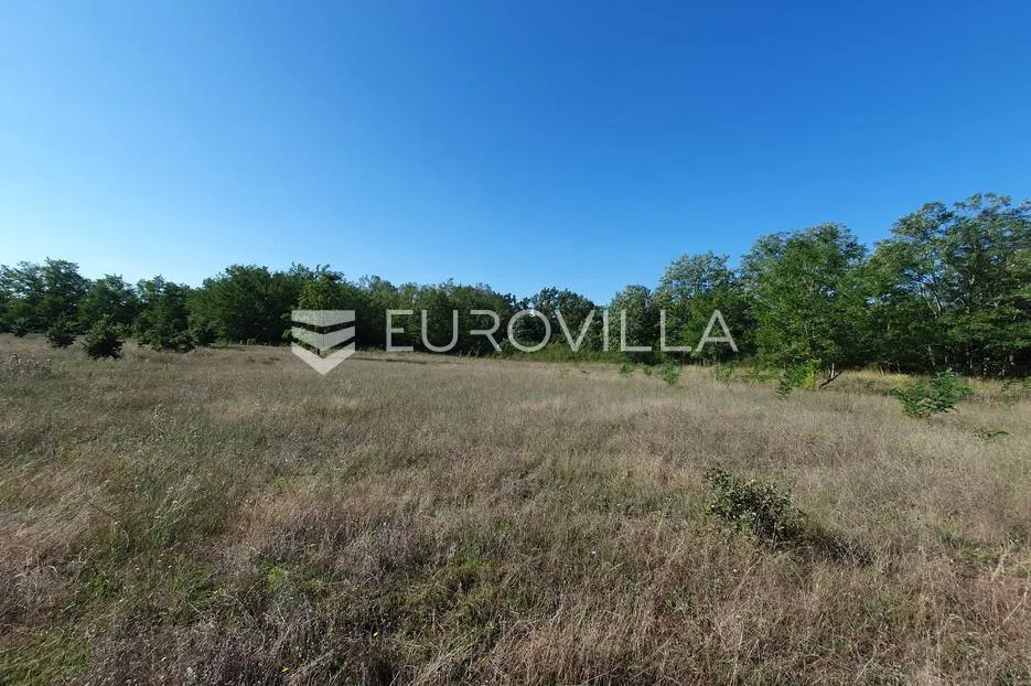 istra, baderna, poljoprivredno zemljište 12.120m2 - slika 16