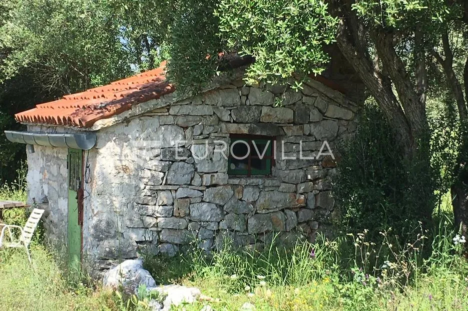 istra, rovinjsko selo, prostrano poljoprivredno zemljište 27672m2 - slika 3