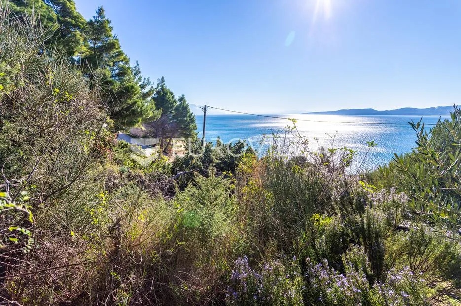omiš, marušići, atraktivno građevinsko zemljište površine 537 m² - slika 2