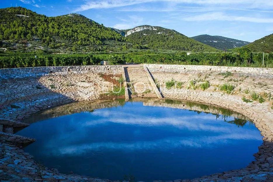 otok korčula, poljoprivredno zemljište - slika 2