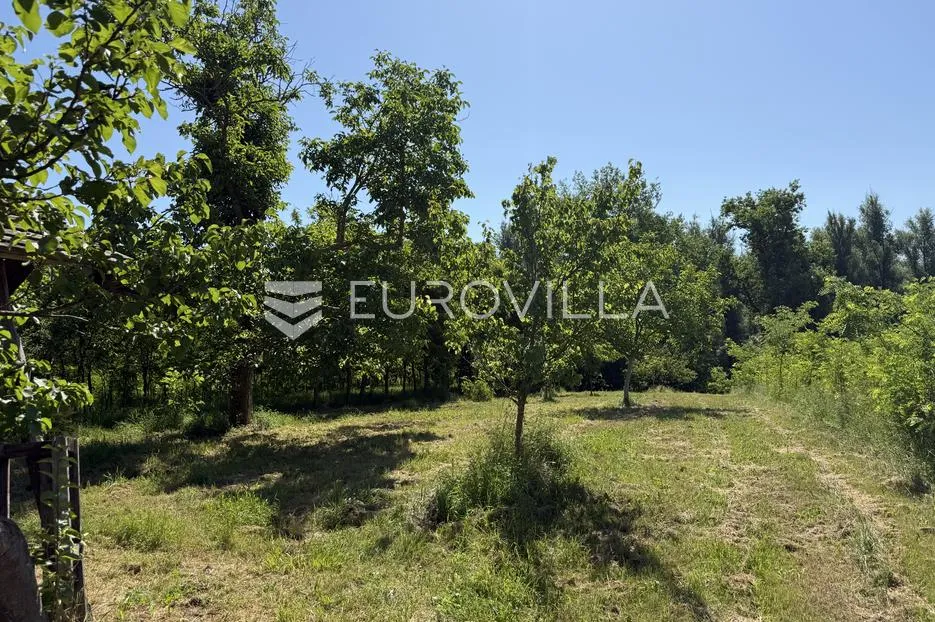 osijek, bilje, na prodaju građevinsko zemljište površine 25.000 m² - slika 3