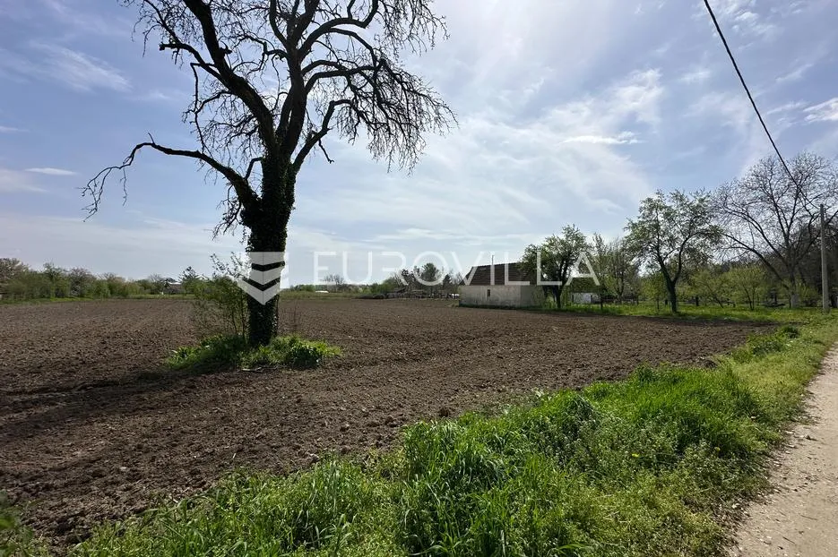 vinkovci, vikend naselje zalužje, građevinsko zemljište površine 8631 m² s kućom 46 m² - slika 3
