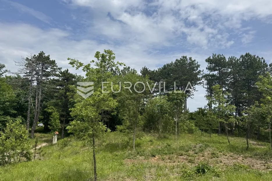 istra, grašćišće, jedinstveno građevinsko zemljište 2000 m² okruženo stoljetnom šumom 36789 m² - slika 22