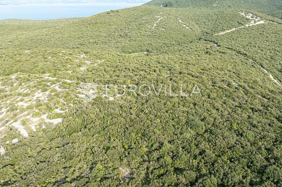 pelješac, nakovanj, poljoprivredno zemljište površine 17 000 m² - slika 8