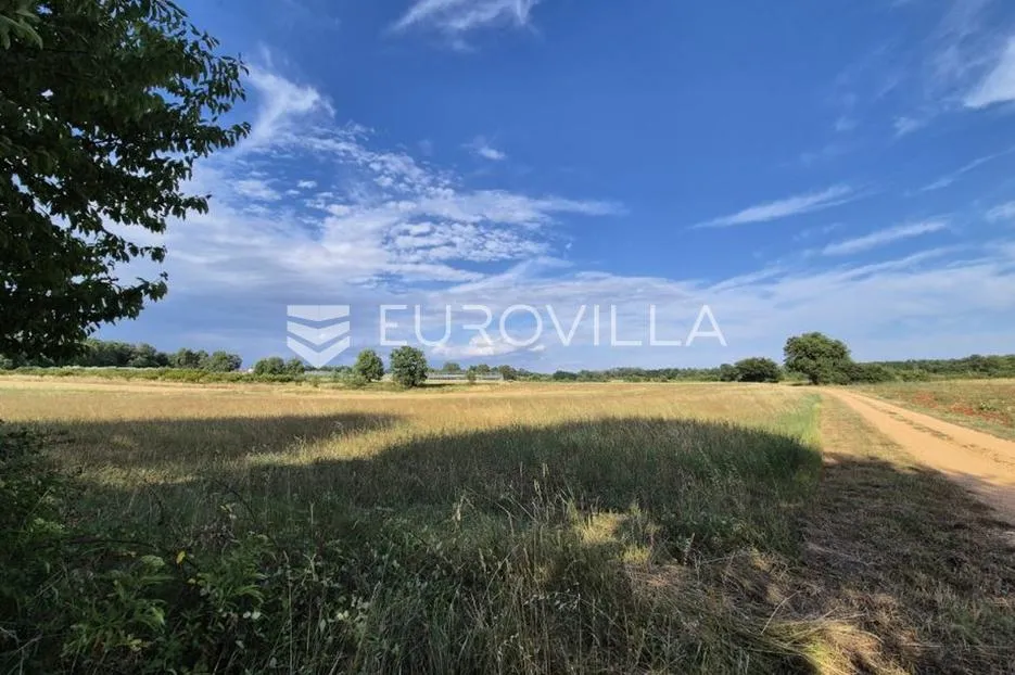 Kaštelir, Cerjani, poljoprivredno zemljište 32619 m² - Cerjani, Kaštelir - Labinci