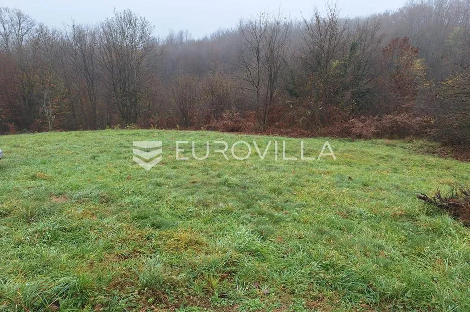 duga resa, galović selo, poljoprivredno zemljište 1400 m2 s vinogradom - slika 5