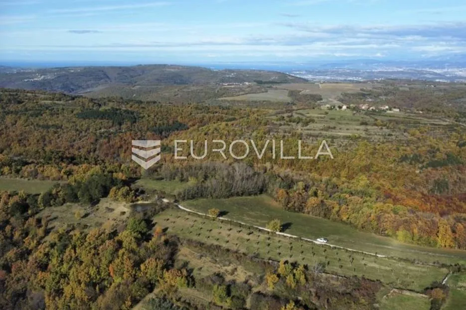istra, momjan - zemljište 4137m2 od kojih je 1871m2 građevinsko - slika 2