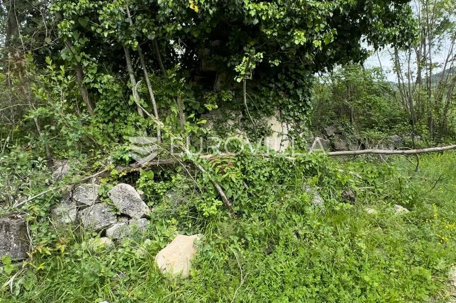 buje okolica, prekrasno stoljetno imanje - slika 3